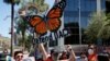 Supreme Court DACA Ruling Explained