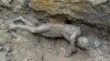 Italy Cheers Discovery of Ancient Bronze Statues
