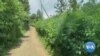 Farmers Fight Back Against Ravenous Locust Swarms