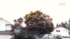 16x9 Image