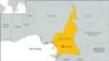 Cameroon: 41 Militants Killed in Wave of Attacks