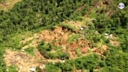 La cara nada dorada de la minería en Venezuela (Afiliadas)