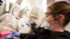NY State to Begin Testing Malaria Drug in COVID-19 Battle