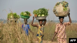 FILE - Women come back from the fields to sell vegetables at a market near the internally displacement camp close to the airport in Bangui, Jan. 7, 2014.