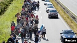 Migrant mainly from Syria