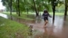 Una mujer pasea a su perro por un sendero inundado por la tormenta tropical Henri en Bushnell Park en Hartford, Connecticut, el domingo 22 de agosto de 2021 (AP Photo / Ted Shaffrey).