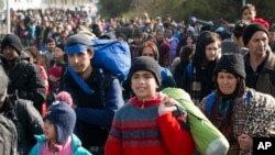Rombongan migran berjalan menuju Austria dari Sentilj, Slovenia, 30 Oktober 2015. (AP/Darko Bandic)