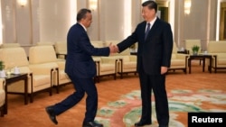 中国国家主席习近平在北京人大会堂会晤到访的世界卫生组织总干事谭德塞(2020年1月28日)