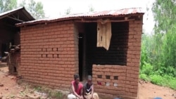 Armyworm Invasion Threatens Malawi's Food Security