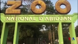 Le zoo d'Abidjan renaît de ses cendres (vidéo)