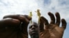 Ces essaims qui dévastent les cultures ont déjà atteint le Kenya, l'Ethiopie, l'Erythrée, Djibouti, la Somalie, l'Ouganda, le Soudan et la Tanzanie. (Photo archives)