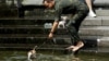 热浪袭击下，一位男士在纽约曼哈顿为爱犬消暑降温。（2016年7月23日）