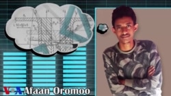 Marii Dargaggeessa Qaroo, Kennaa Addaa Qabu Wajjin